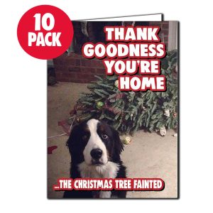 Funny Christmas Cards for Pet Owners – Thank Goodness You’re Home, Pack of 10
