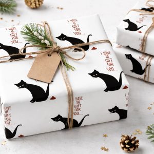 Funny Cat Wrapping Paper – I Have a Gift for You – Rude Gift Wrap